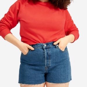 Everlane Cheeky denim shorts size 25